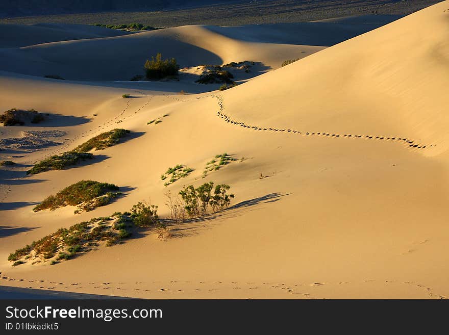 Sunrise in death valley desert