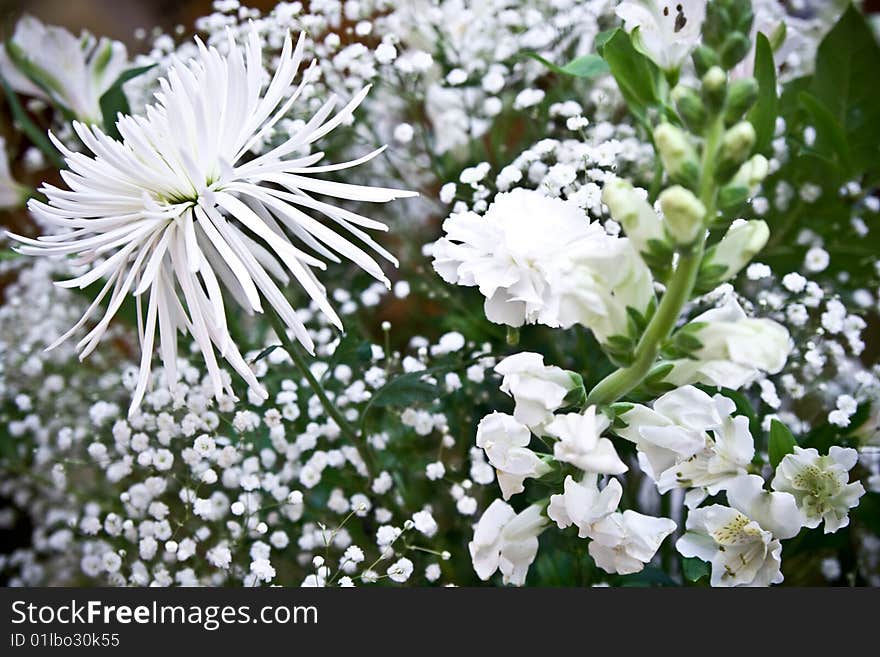 Flower arrangement