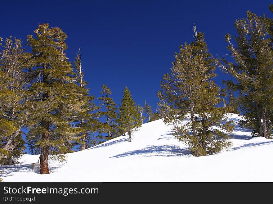 Lake tahoe in spring with snow and trees