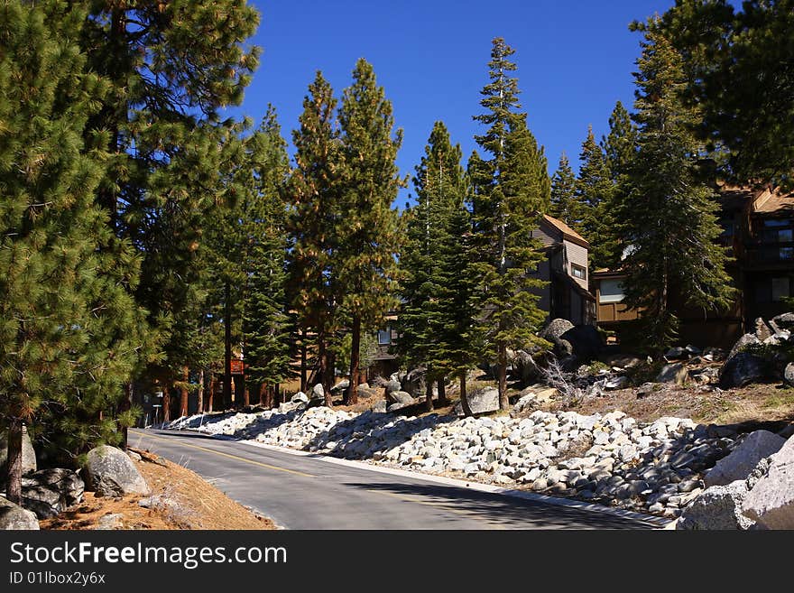 Lake tahoe in spring with snow and trees