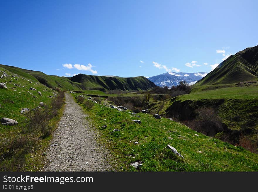 A picture taken from windwolves preserve in southern california.  A trail extends across a canyon like mountain landscape but as the grass is unbelievably green, the trees in this area are found to be all but dead.  Snowy peaks are seen in the background with spots of clouds. A picture taken from windwolves preserve in southern california.  A trail extends across a canyon like mountain landscape but as the grass is unbelievably green, the trees in this area are found to be all but dead.  Snowy peaks are seen in the background with spots of clouds.