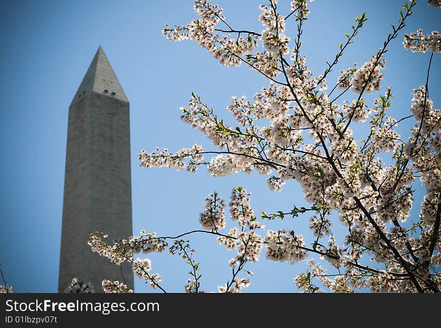 Washington Monument