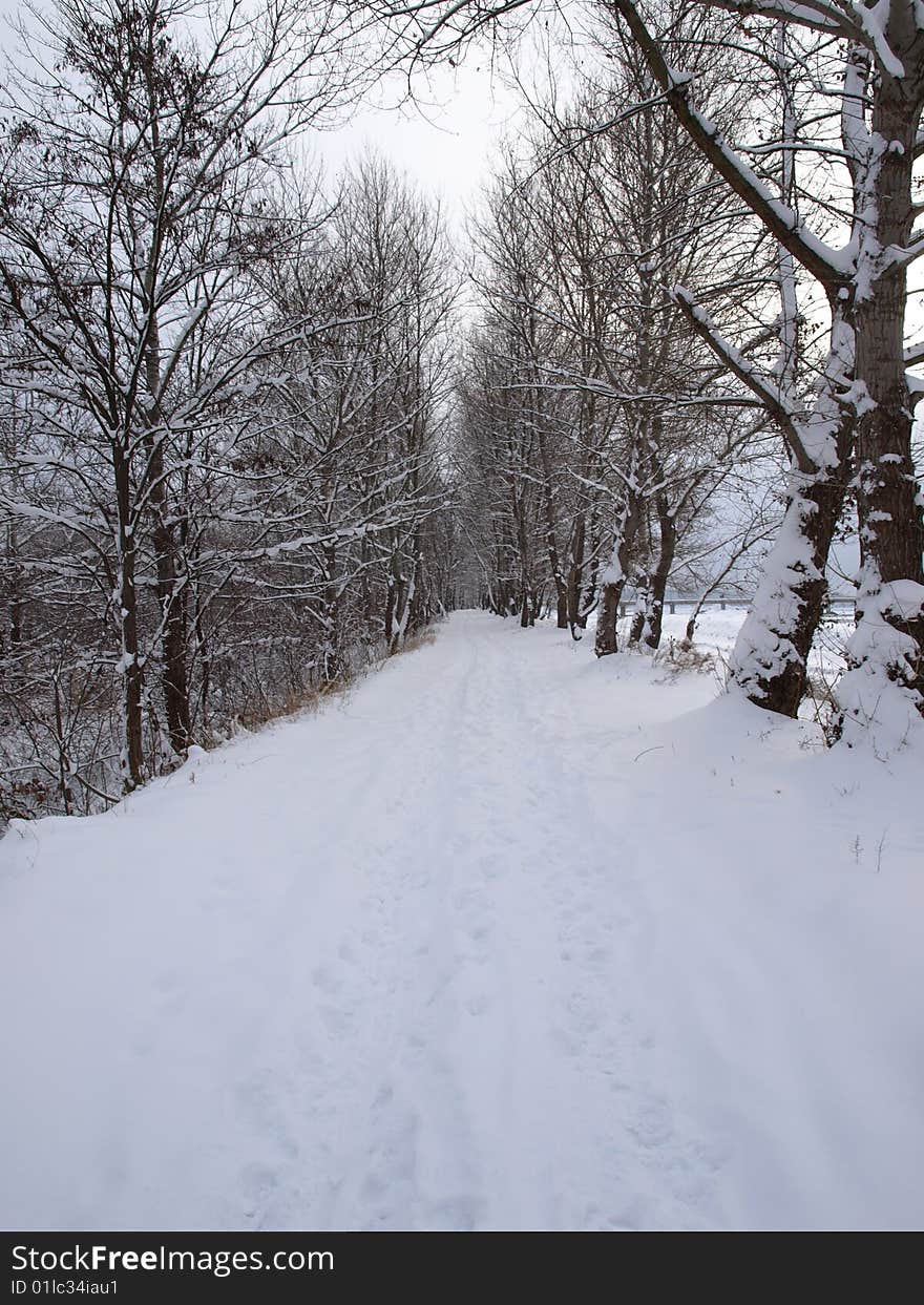 Winter, January, avenue on a dam of the river Laba