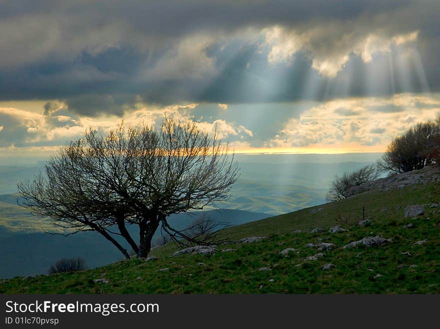 Sunlight in clouds and tree at the front. Sunlight in clouds and tree at the front