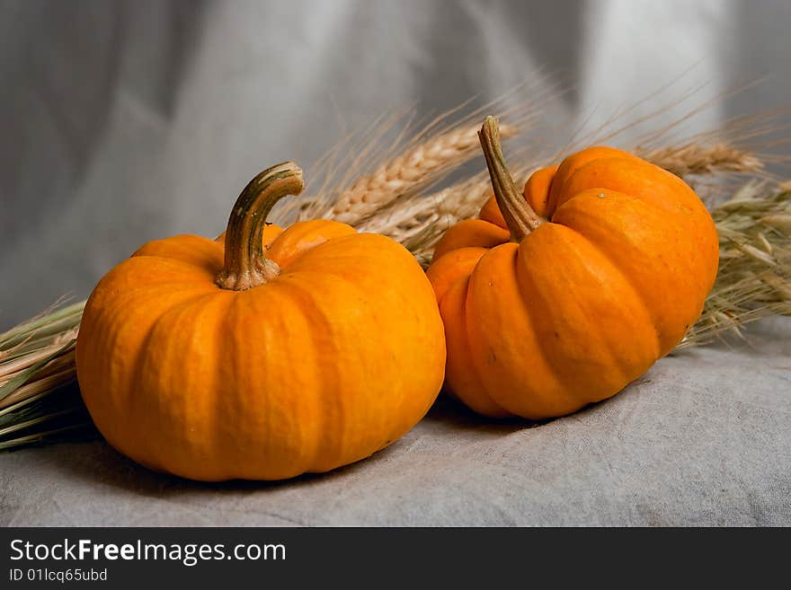 Pumpkins, melons in by a large plan with the ears of wheat