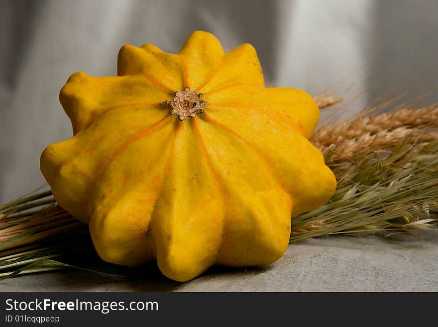 Pumpkins, melons in by a large plan with the ears of wheat