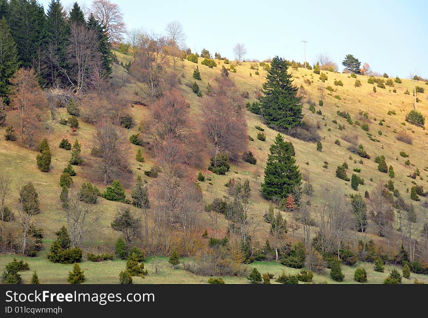 Lauter Valley in spring