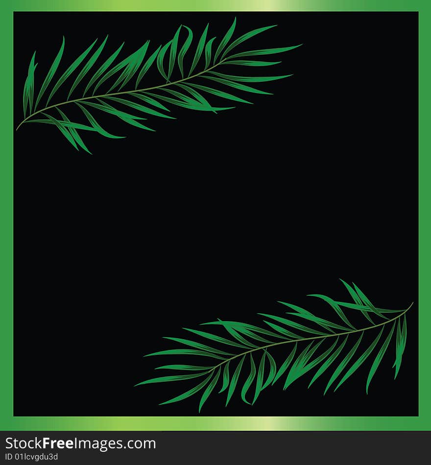 Two green branches on a black background. Two green branches on a black background