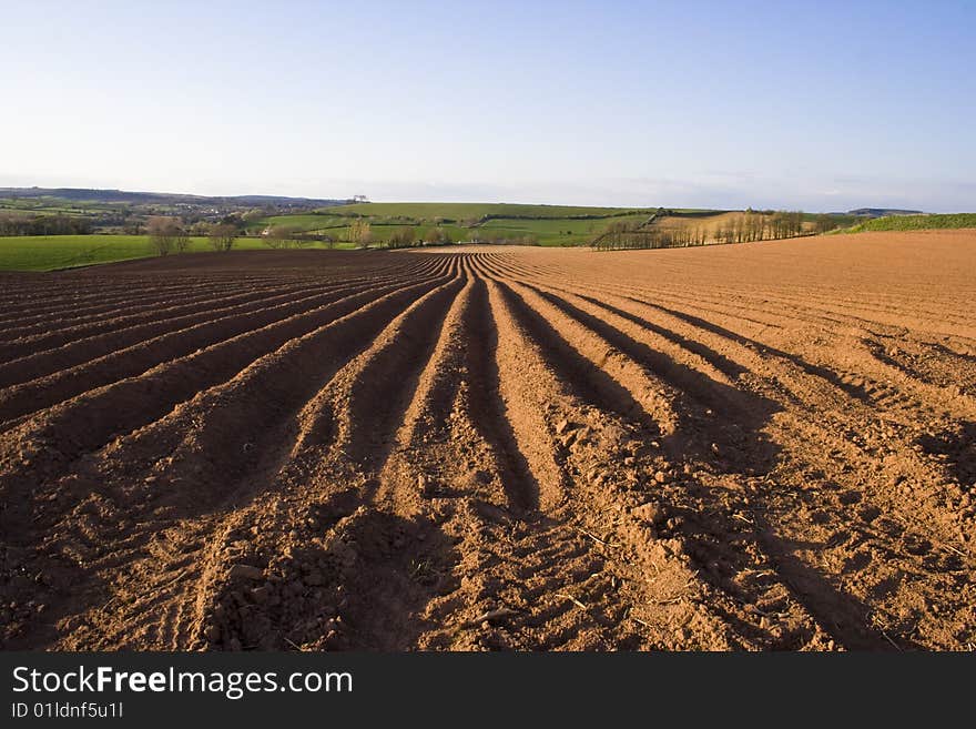 Ploughed field landscape