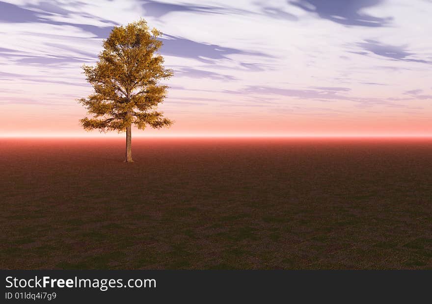 Lime tree isolated against the sky and horizon. Lime tree isolated against the sky and horizon.