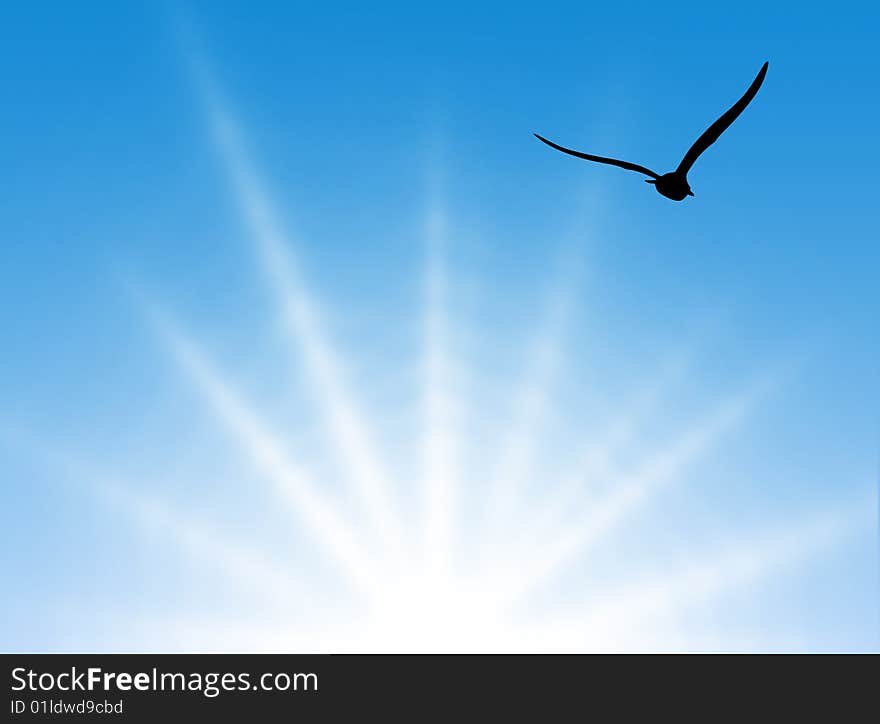 Summer sky with hot sun and gull in silhouette