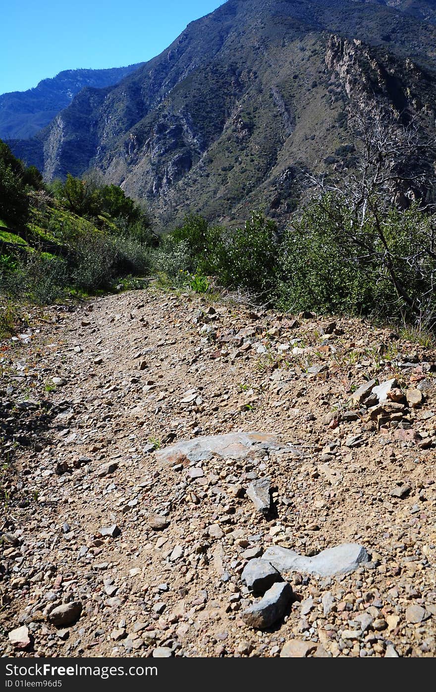 A descending trail is shown with a mountainous backdrop. Trees as well as shrubs are extended along the trail. A descending trail is shown with a mountainous backdrop. Trees as well as shrubs are extended along the trail.