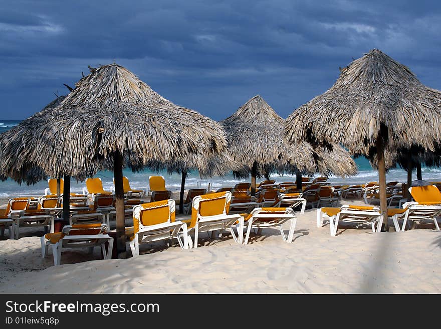 Caribbean sea beachfront palm tree. Caribbean sea beachfront palm tree