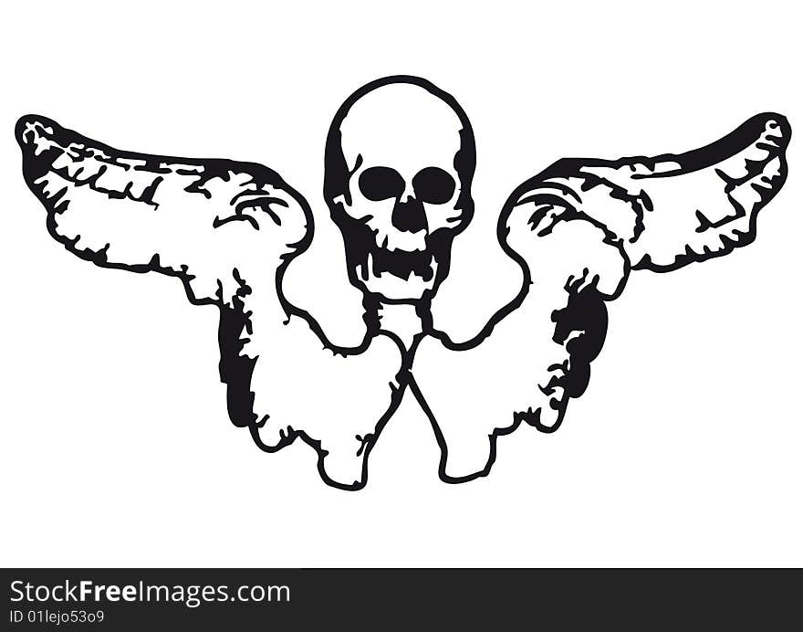 Skull and wings (vector)