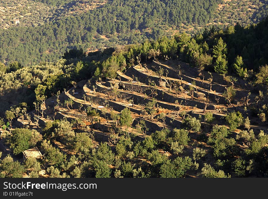 An agricultural dry stone wall near port soller, mallorca, spain