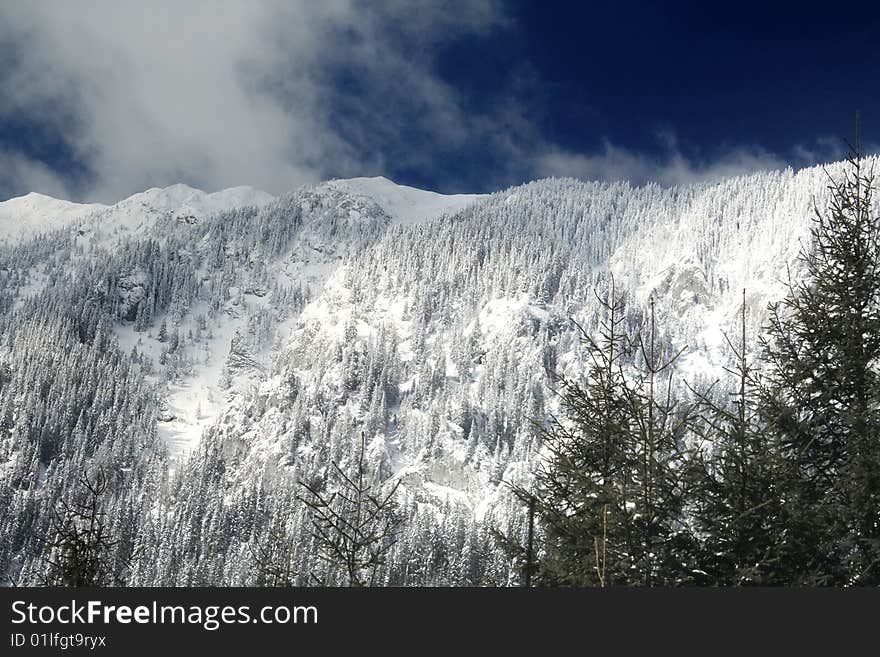 Snowed Ridge