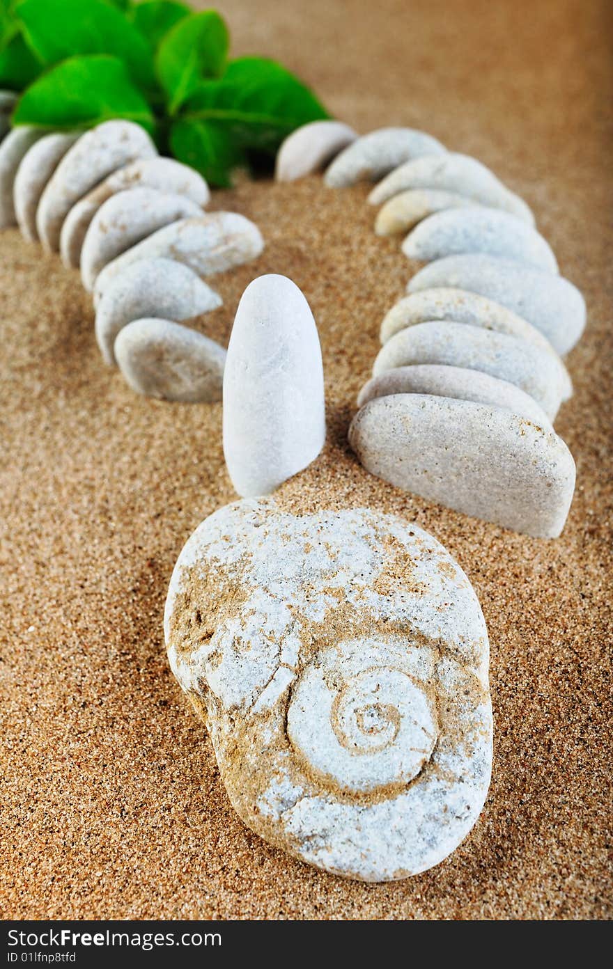 Green leaves and stones on the sea sand. Green leaves and stones on the sea sand