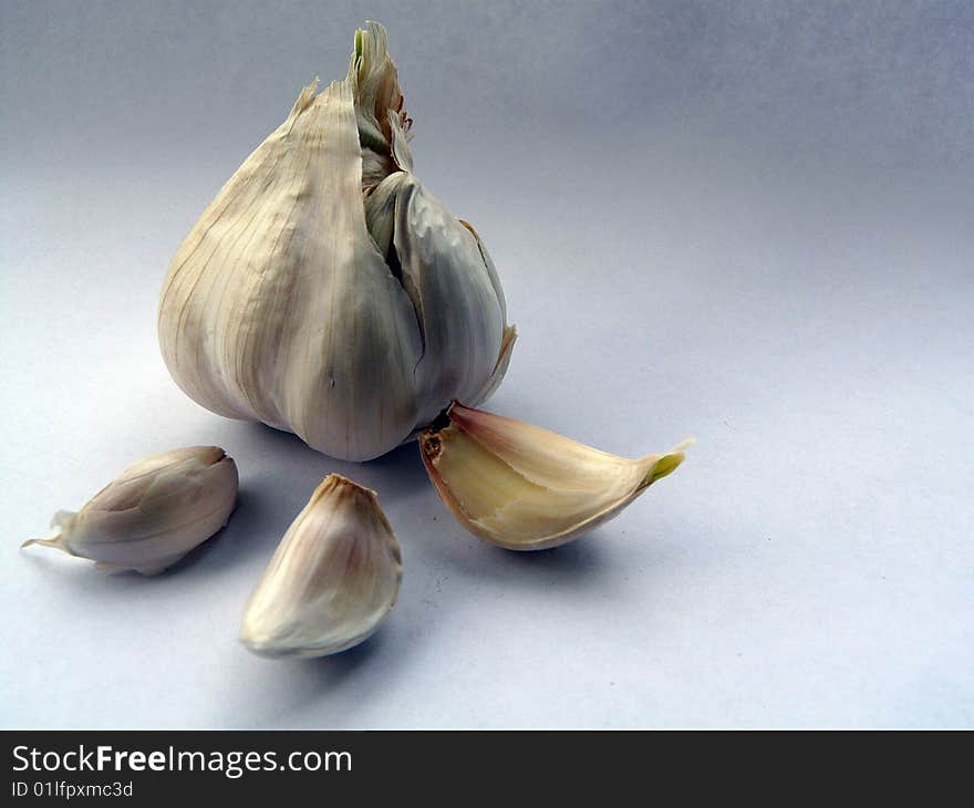 Garlic