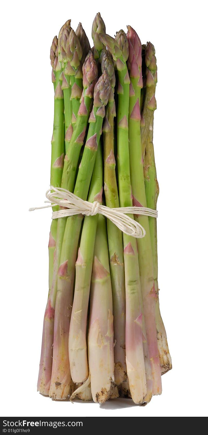 Asparagus isolated on white background