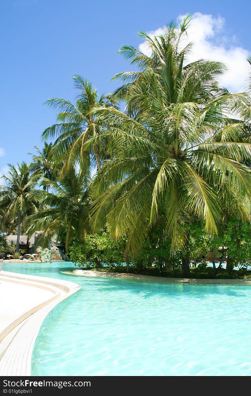 Tropical swimming pool and beautiful water with palms