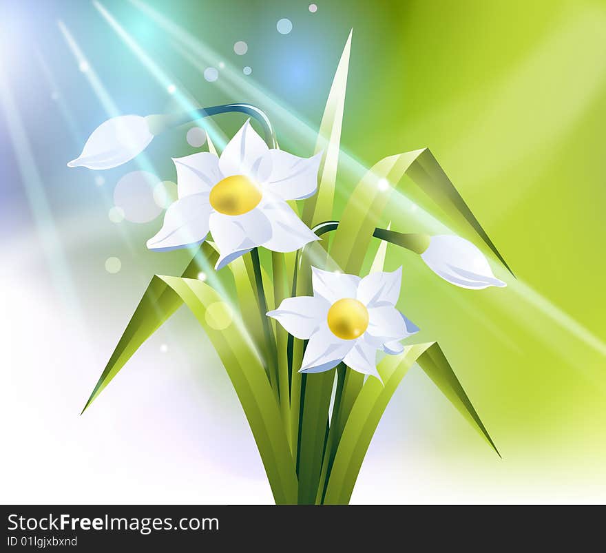 Colored spring flowers, vector file, Color and layers can be customized. Colored spring flowers, vector file, Color and layers can be customized.