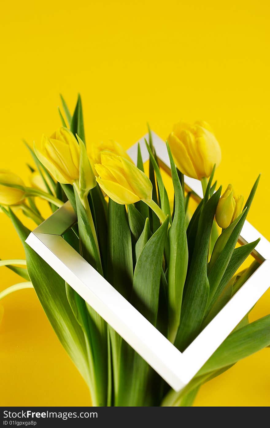 Bunch of yellow tulip flowers with silver photo frame