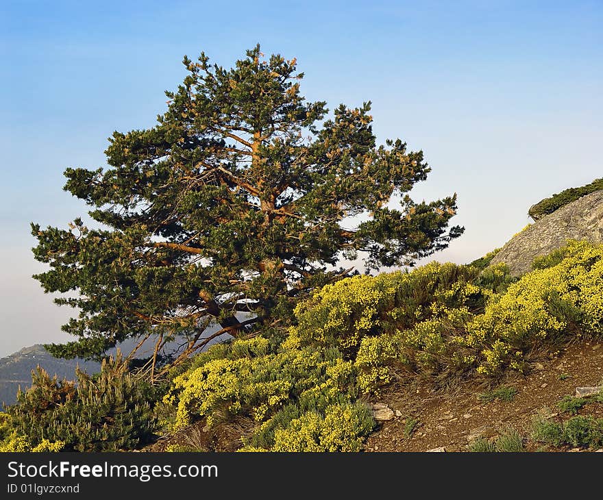 Natural Park Peñalara, Madrid, Spain