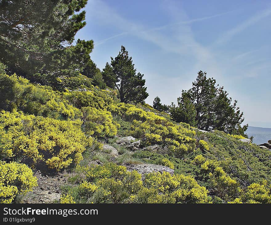 Natural Park PeÃ±alara, Madrid, Spain