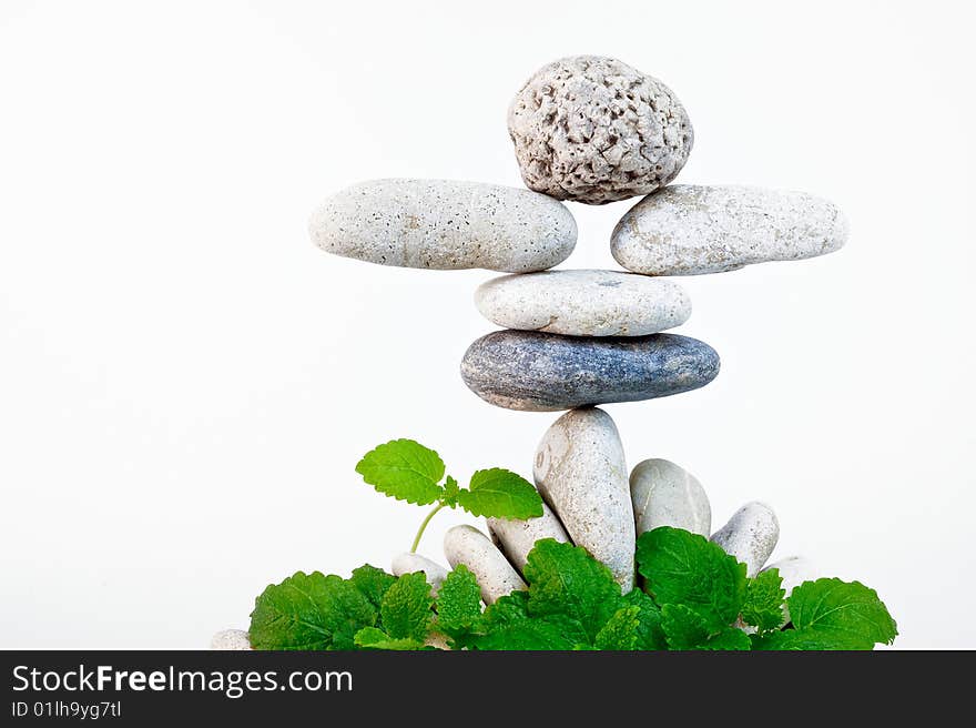 Above the green leaves of the structure of gravel. Above the green leaves of the structure of gravel