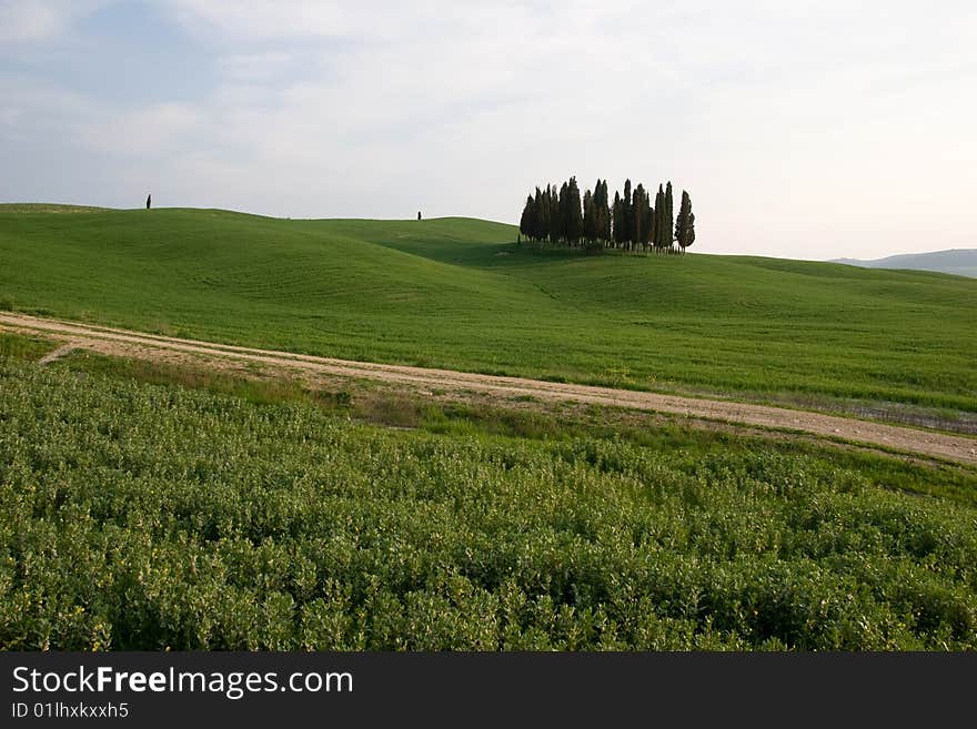 Tuscany landscape