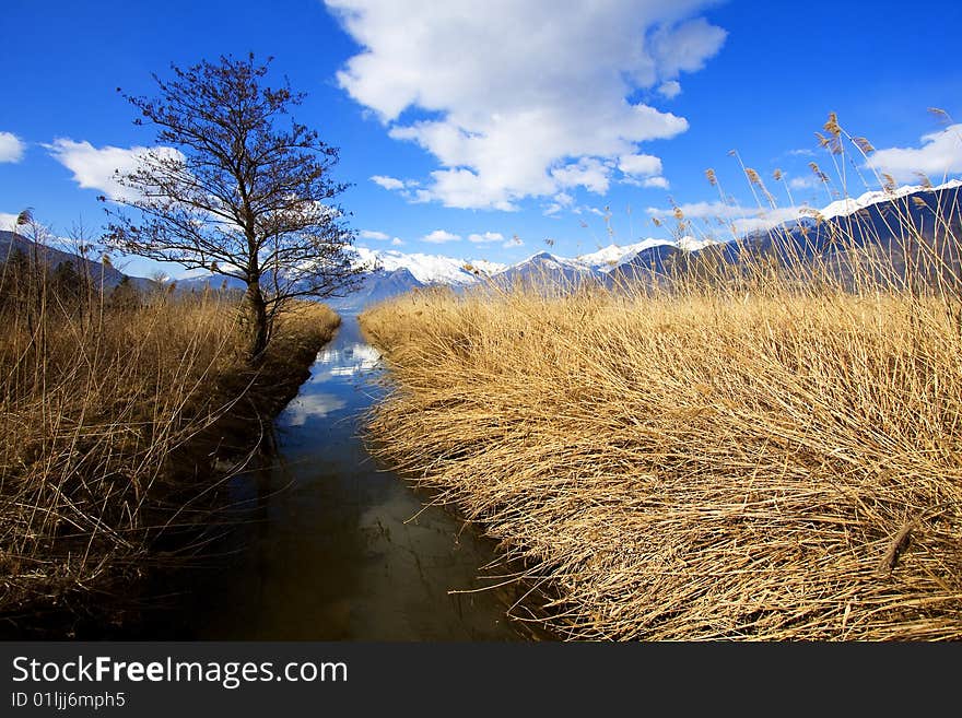 Reed channel and cloudy sky