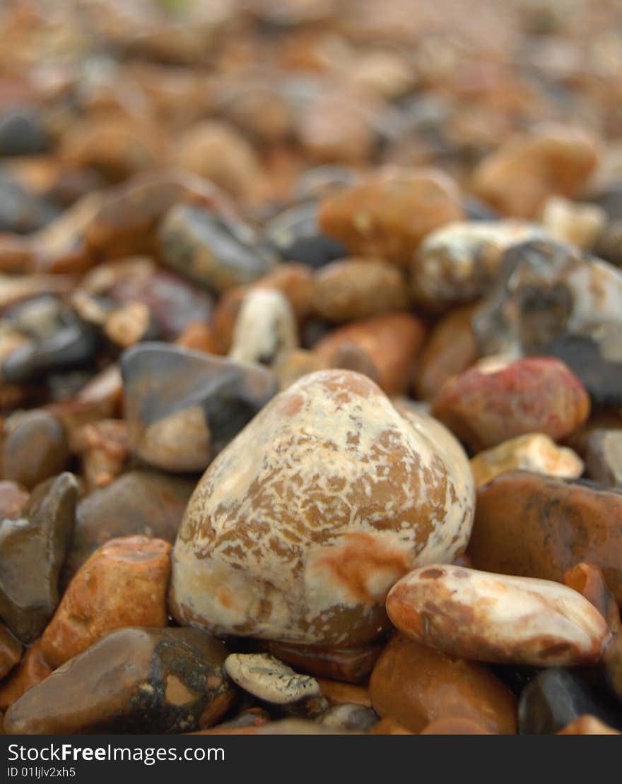 Wet beach pebbles in many colors and textures.