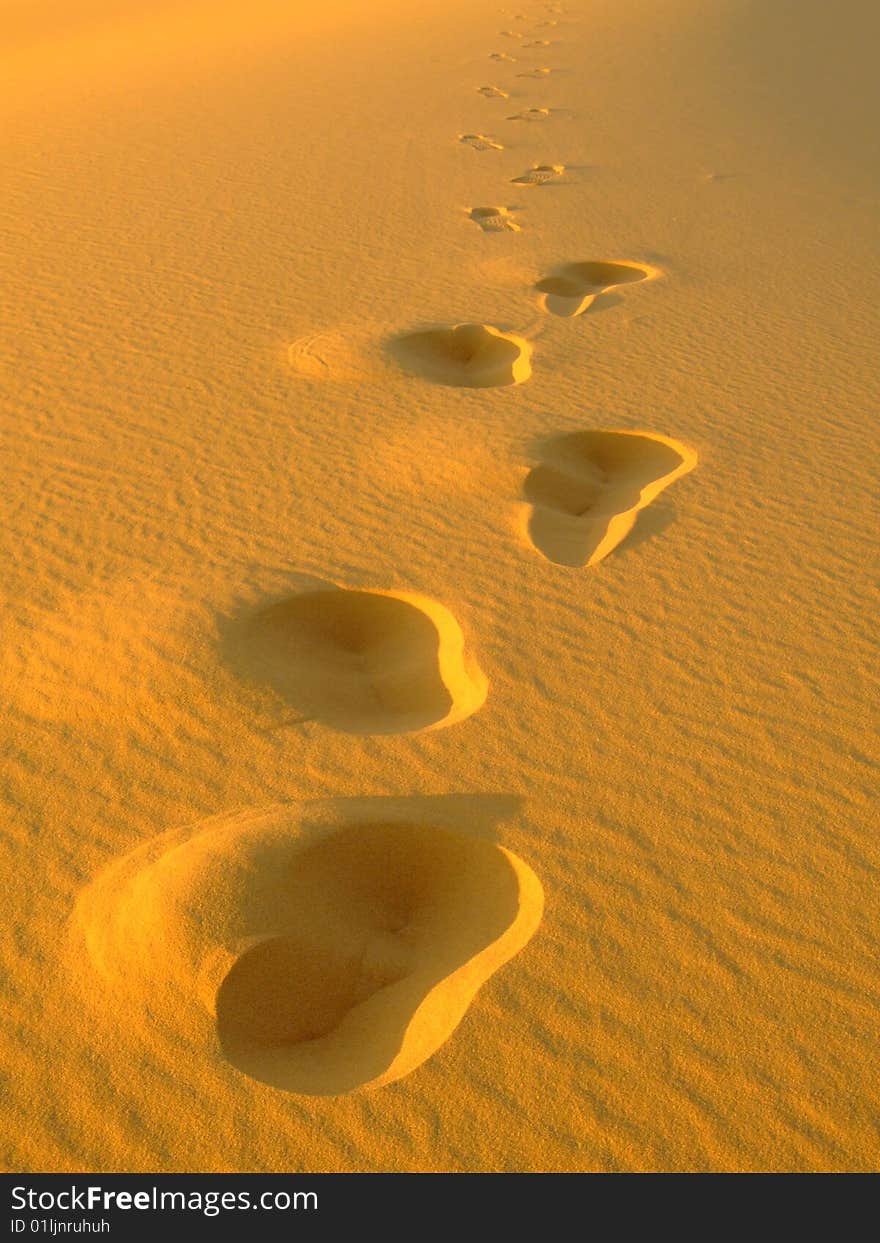 Picture taken on Erg Chebbi desert in Morocco. Picture taken on Erg Chebbi desert in Morocco