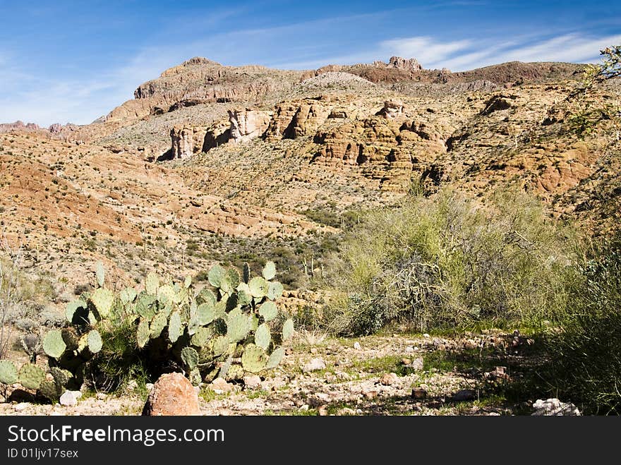 Desert scenery