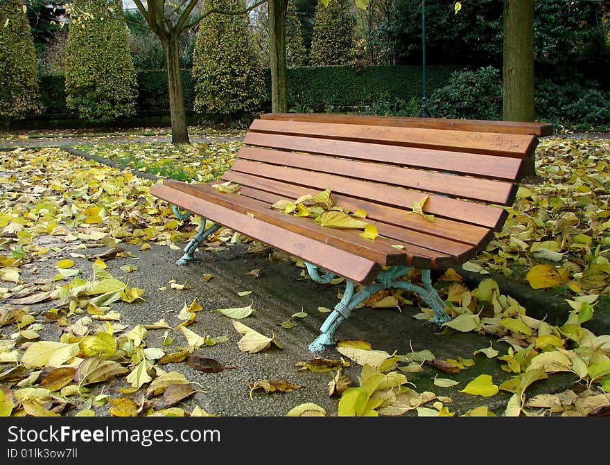 Wooden bench in autumn after rain. Wooden bench in autumn after rain.