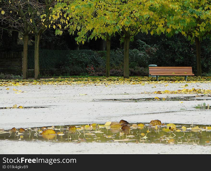 Rainy day in public park