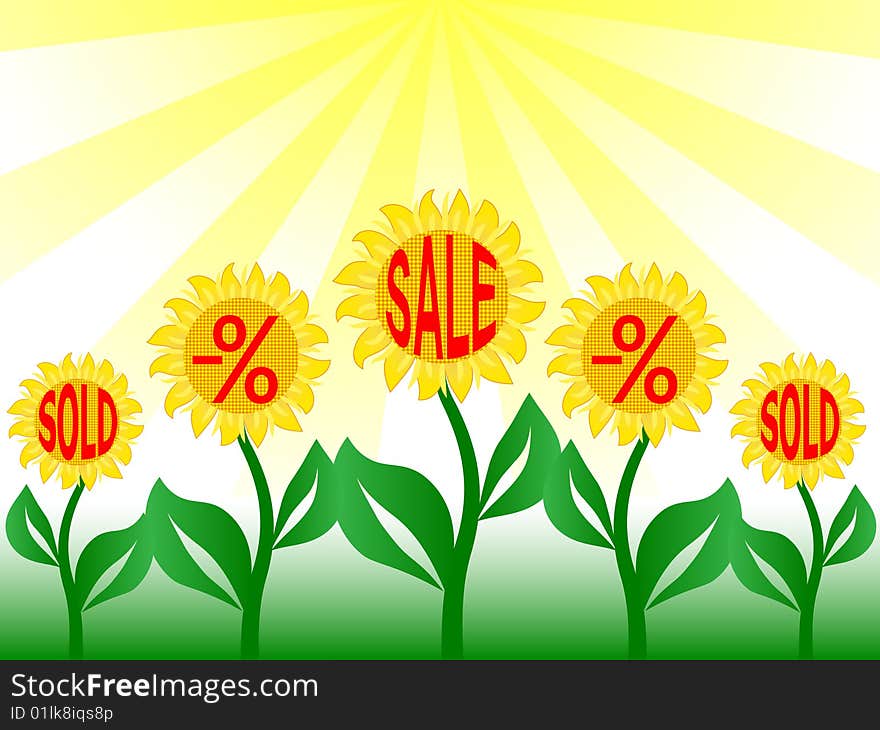 Nice sunflower in vector image