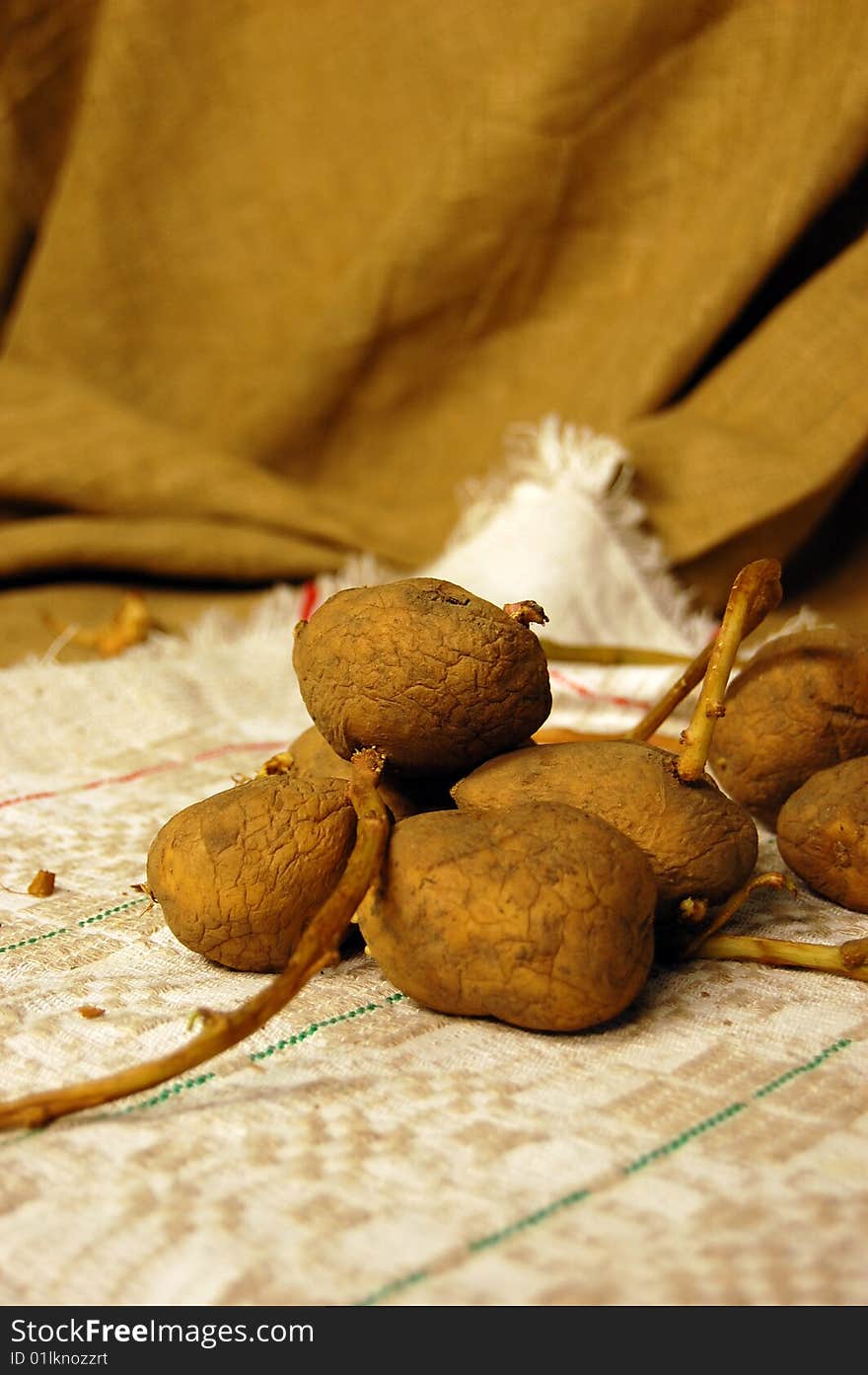 Potatoes with sprouts beginning on napkin