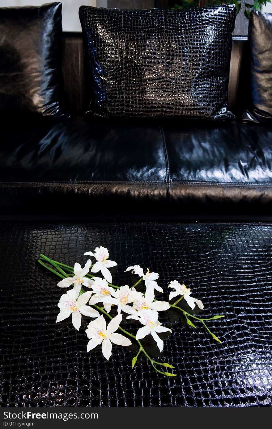 Beautiful white flowers on a black leather sofa