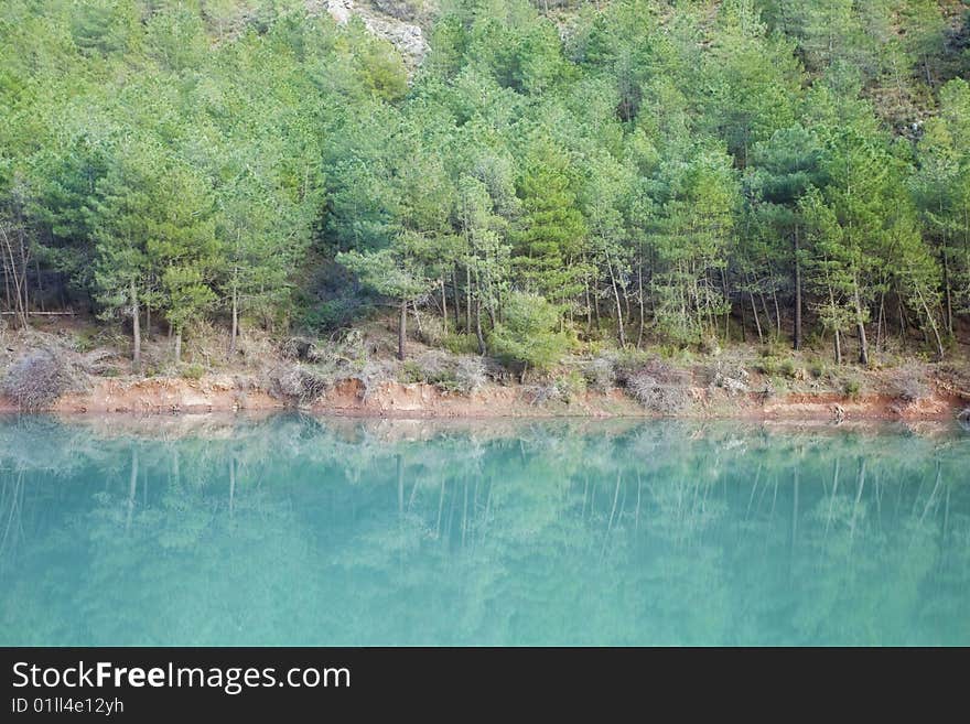 Lake shore full of pine trees. Lake shore full of pine trees