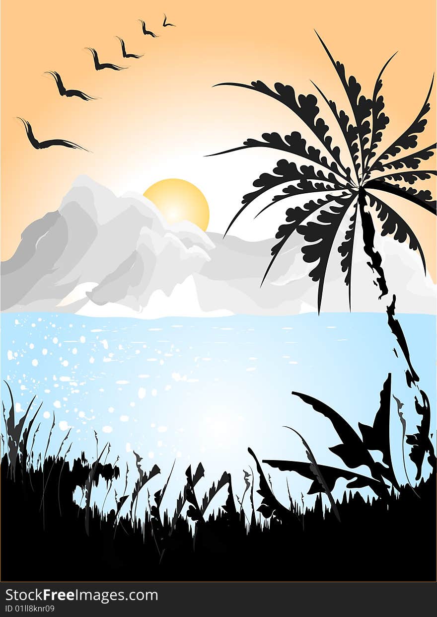 Landscape with birds and Palm. Vector Illustration. Landscape with birds and Palm. Vector Illustration.