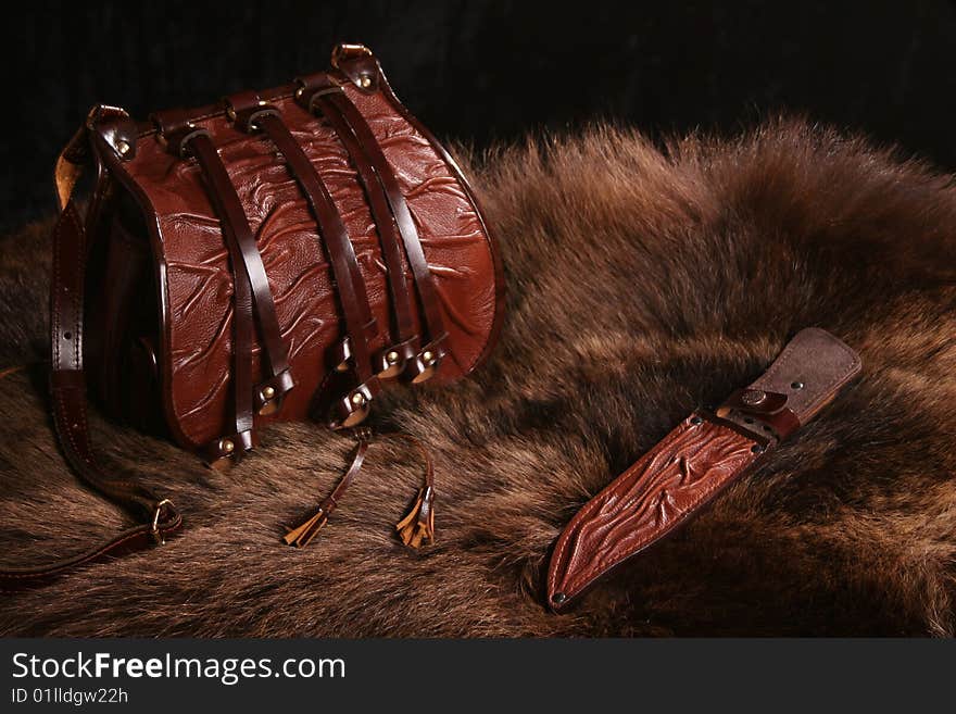 Bag and sheath