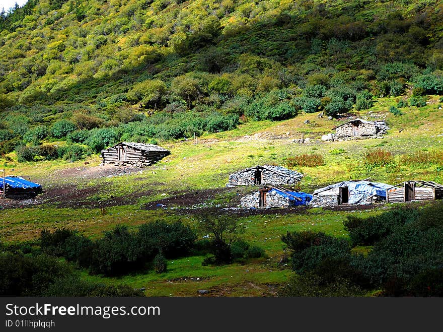 House on green landscape