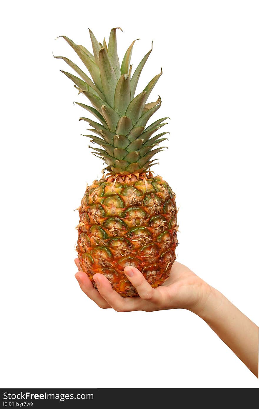 Pineapple