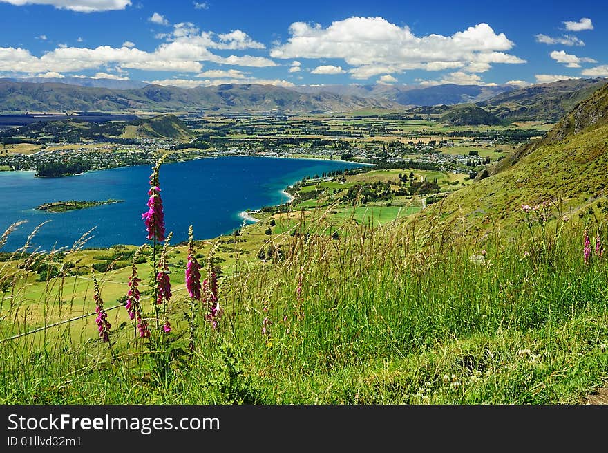 Scenery with town Wanaka by lake. New Zealand