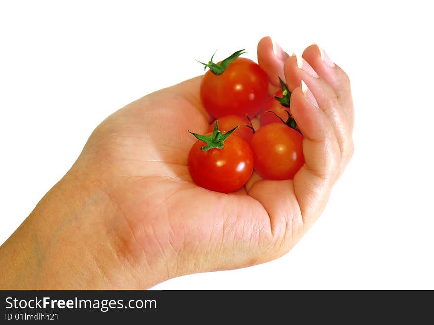 Red Tomato Series 2