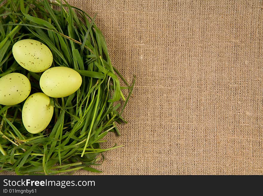 Grass nest with eggs