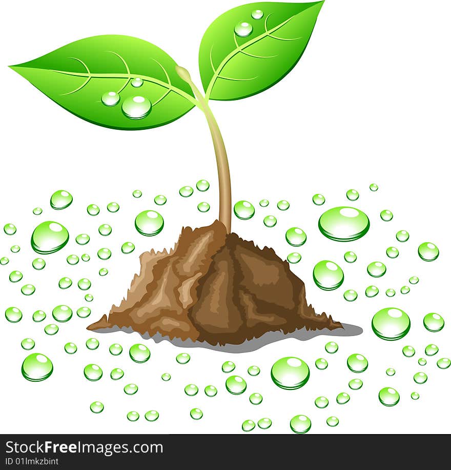 Young sprout in ground. Vector illustration. Young sprout in ground. Vector illustration.