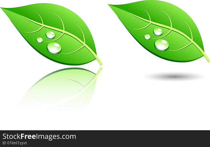 Green leaf icons. Vector illustration. Green leaf icons. Vector illustration.