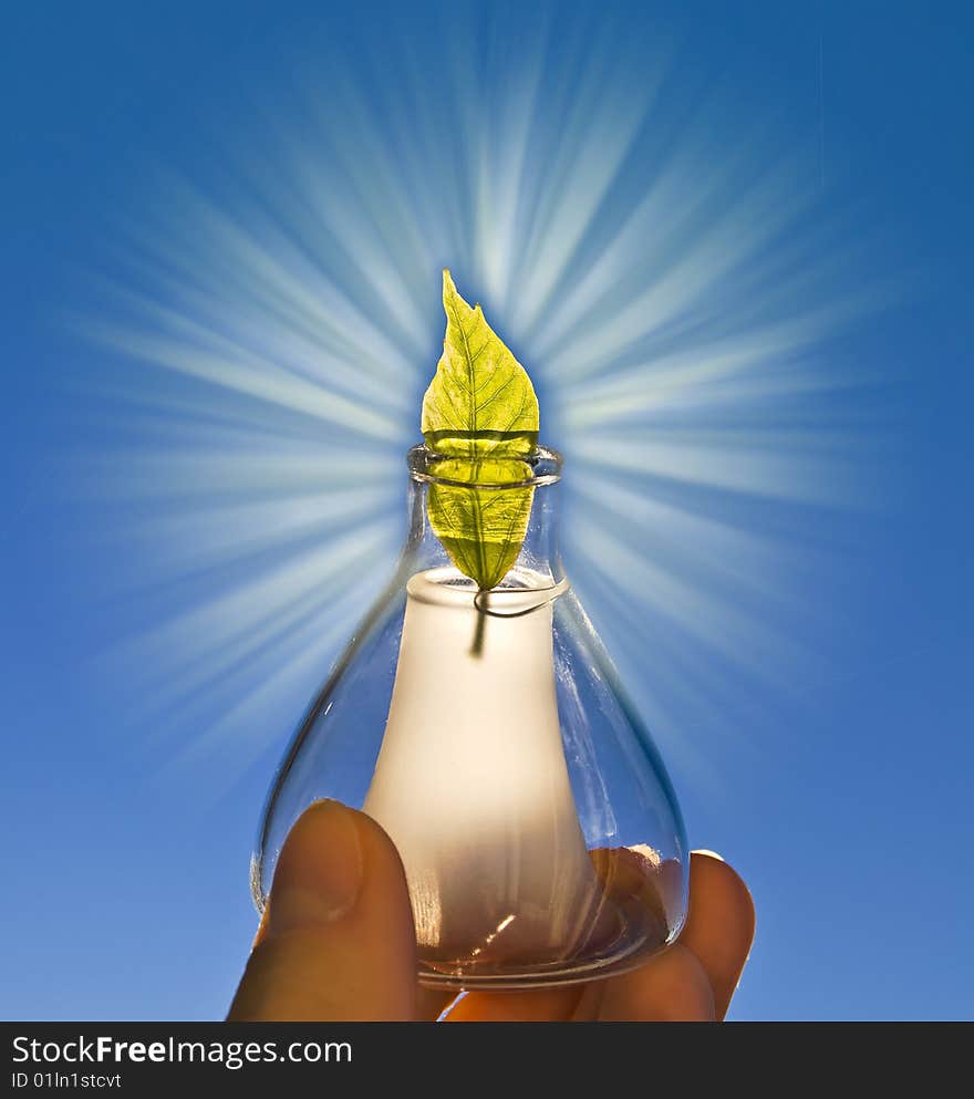 Leaf in retort with sky background